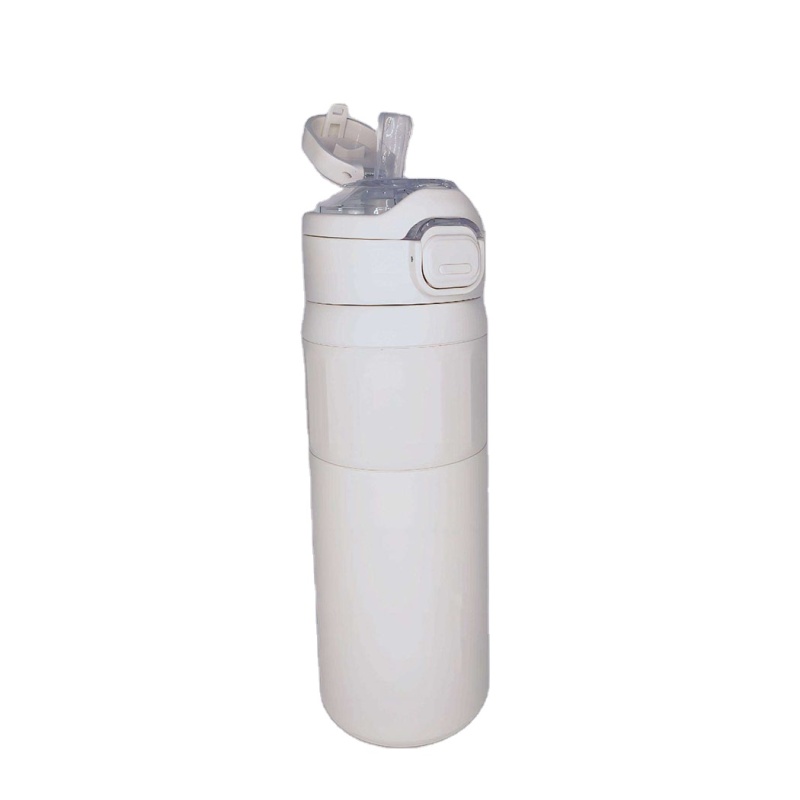 Hot Sale Manufacturer BPA Free Clear  Stainless Infusion OutdoorsSport Water Bottle Cup Mugs With Customized Logo Available