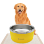 Hot Selling 304 Stainless Steel Powder Coated Dog Cat Pet Food Water Bowl Pet Dog Feeder Double Wall Food Container