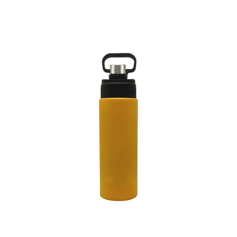 Wholesale Portable Vacuum Insulated Cup 304 Stainless Steel Sport Drinking  Water Bottle with Handle Lid