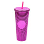 Water Bottle 24 oz BPA Free Double Wall Plastic Pink Tumbler With Straw Studded Tumbler With Lid and Straw