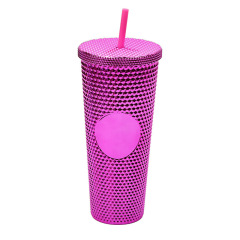 Water Bottle 24 oz BPA Free Double Wall Plastic Pink Tumbler With Straw Studded Tumbler With Lid and Straw