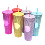 Water Bottle 24 oz BPA Free Double Wall Plastic Pink Tumbler With Straw Studded Tumbler With Lid and Straw