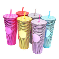 Water Bottle 24 oz BPA Free Double Wall Plastic Pink Tumbler With Straw Studded Tumbler With Lid and Straw