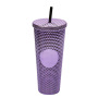Water Bottle 24 oz BPA Free Double Wall Plastic Pink Tumbler With Straw Studded Tumbler With Lid and Straw