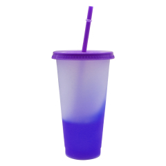 Wholesale Bulk Reusable Tumblers Plastic Juice Bottles Cup Cold Water Color Changing Water Bottle Plastic Tumbler With Cover
