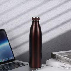 750ML Stainless Steel Water Bottle Vacuum Flask Outdoor Thermal Mug Cold and Hot Insulated Cup