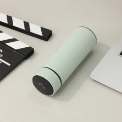 Wholesale Fahrenheit Temperature Mini Smart Thermos 300ml Led Smart Water Bottle With Led Temperature Display