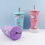 Full Design 16oz Kids Tumblers with Lids & Straws Cup Double Walled Vacuum Insulated Stainless Steel Mug for Hot & Cold Drinks
