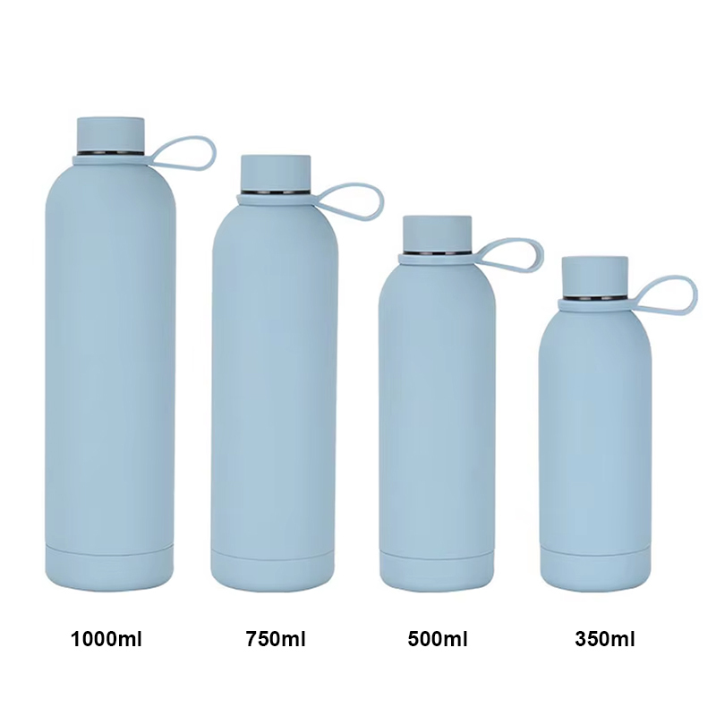 Wholesale Double Wall 500ml 750ml 1000ml Insulated Sports Vacuum Insulated Stainless Steel Water Bottles With Lids