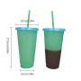 Hot Sale 700ml Lid Straw Tumbler Drinking Water Temperature Gradient Reusable pp 24oz Color Changing Plastic Cup
