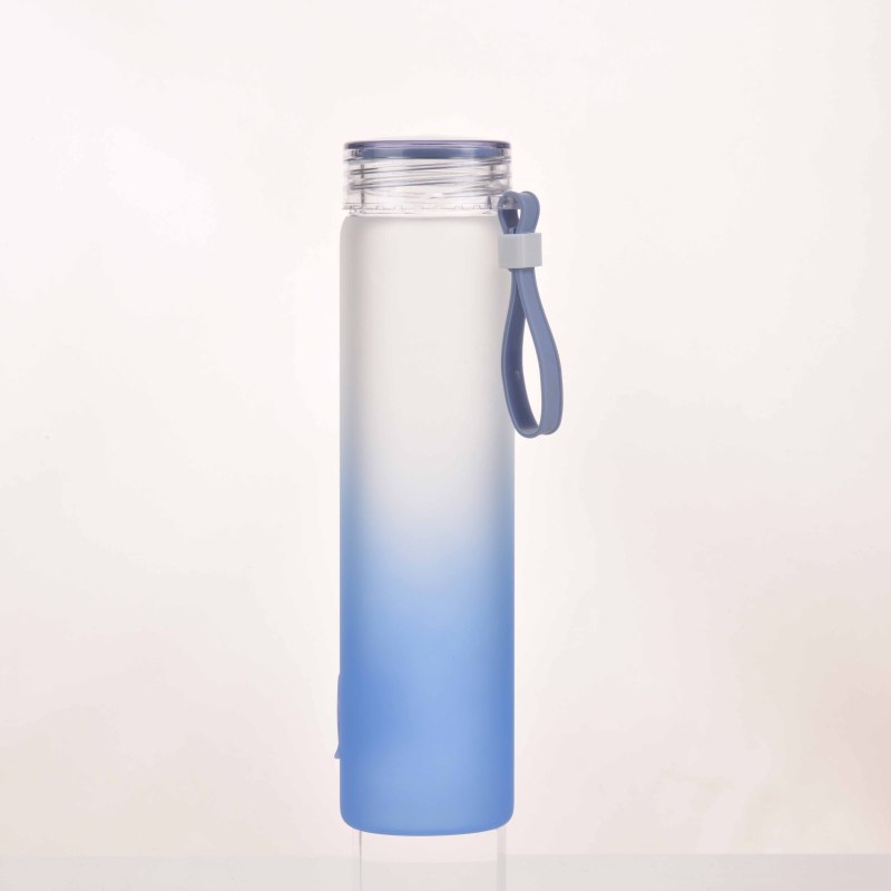 Custom Logo 500ml Borosilicate Glass Water Bottle Silicone Handle Frosted PC Lid Gradient Glass Water Bottle