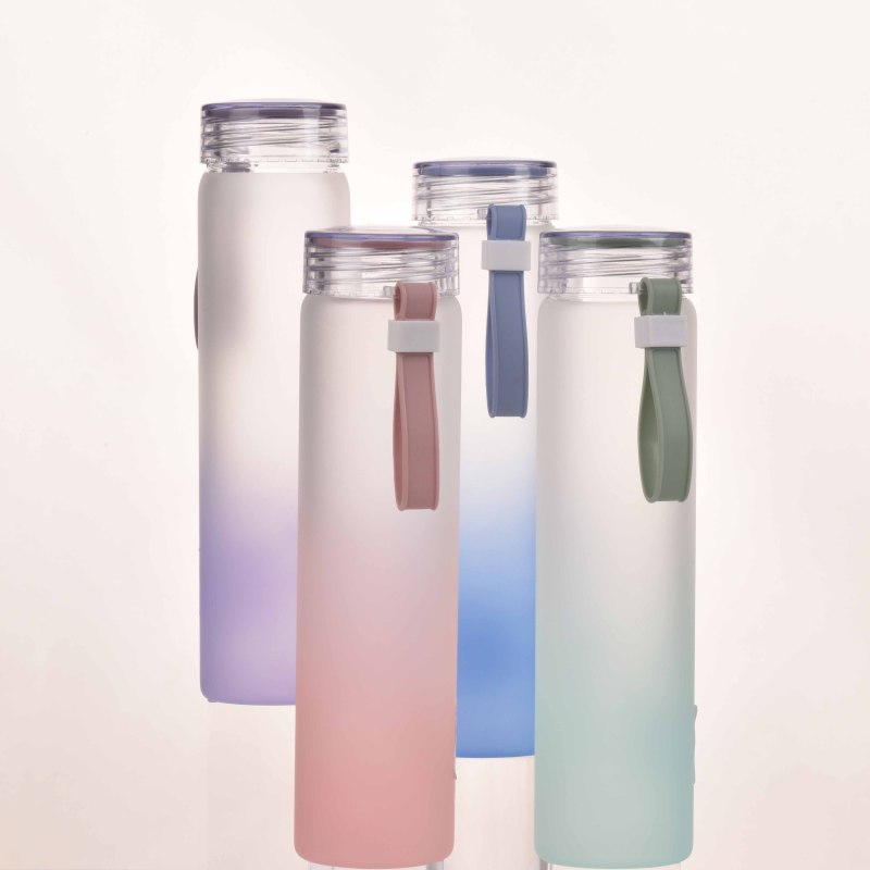 Custom Logo 500ml Borosilicate Glass Water Bottle Silicone Handle Frosted PC Lid Gradient Glass Water Bottle