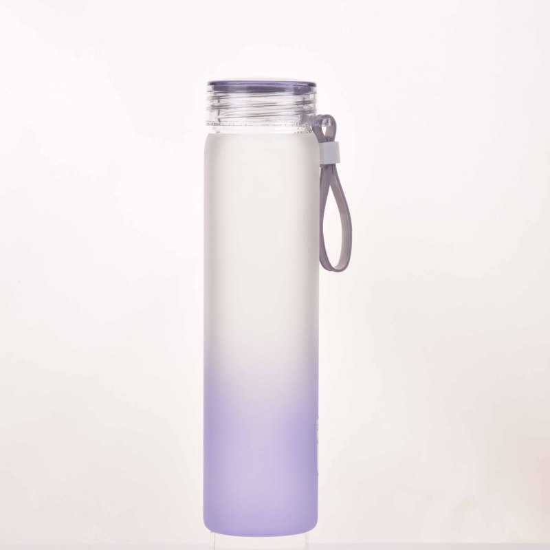 Custom Logo 500ml Borosilicate Glass Water Bottle Silicone Handle Frosted PC Lid Gradient Glass Water Bottle