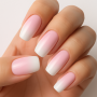 Press On Nails - Basic