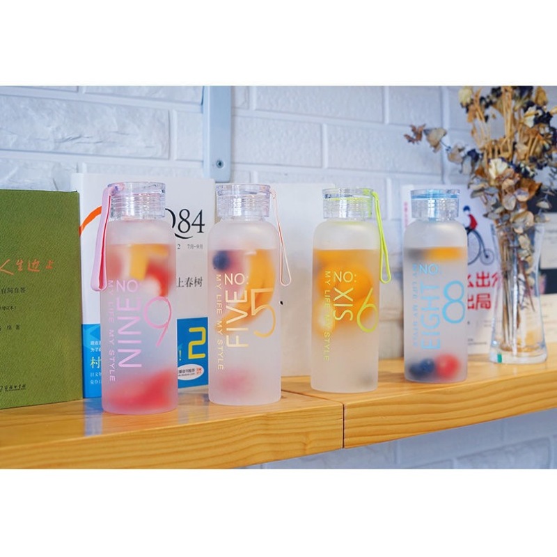 Manufacture 450ml Portable Drinking Glass Water Bottle