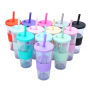 Wholesale Bulk Large Capacity 710ml 24oz Double Layer Water Bottle Plastic Tumblr Cup With Lids and Straws
