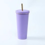 Wholesale 750ml Double Wall 304 Stainless Steel Vacuum Insulated Tumblr Cup Coffee Mugs With Straw Iced Cup