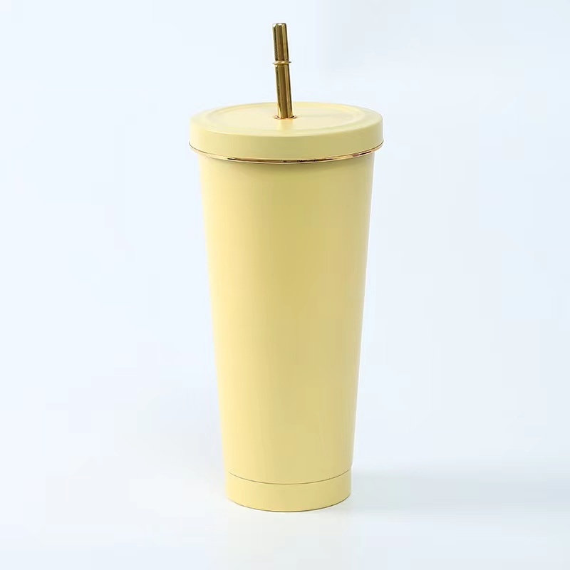 Wholesale 750ml Double Wall 304 Stainless Steel Vacuum Insulated Tumblr Cup Coffee Mugs With Straw Iced Cup