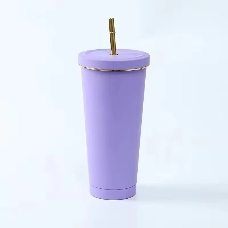 New Design 17oz Double Wall Stainless Steel Vacuum Insulated Tumbler With Straw and Lid