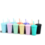 Wholesale 16oz Double Wall Plastic Tumblr Cup Colorful Coffee Mugs With Straw