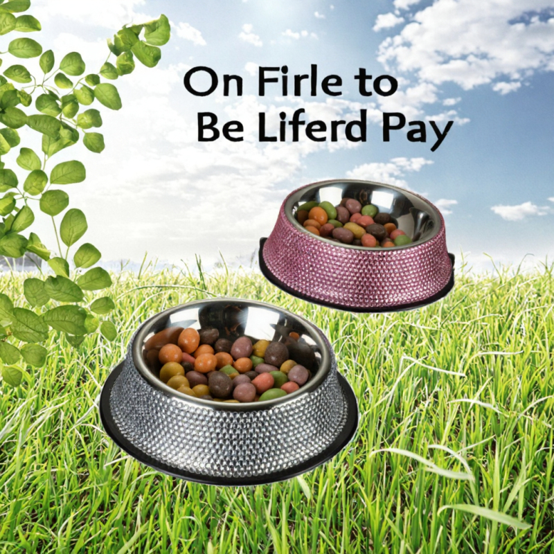Coocodrink Wholesale Premium Quality Stainless Steel Pet Bowls Eco-Friendly Small Animal Feeders for Cats and Puppy Dogs