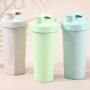 Eco Friendly Protein Shaker Bottle 600ml Sustainable Wheat Straw Drink Shaker Cup BPA Free Blender Cup for Sport