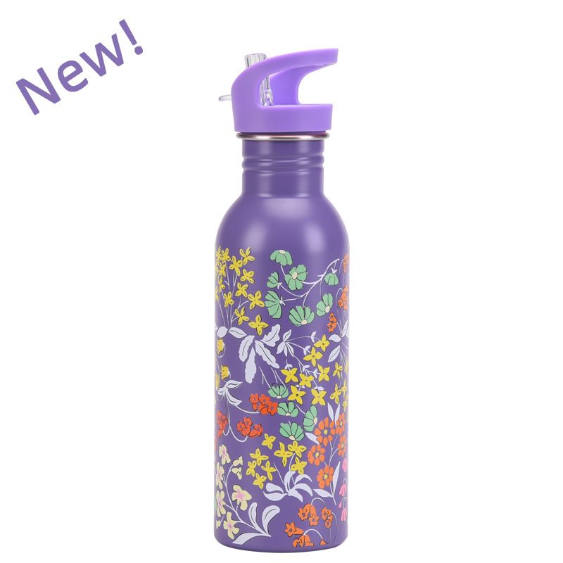 17OZ Cute 3D Printing Design Stainless Steel Single Wall Portable Flask With Different Sizes and Lids Sport Water Bottle