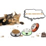 Coocodrink Hot Sell Stainless Steel Cat Basin Single Bowl Creative Multi-color Splash Proof Wear-resistant PET