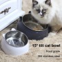 Coocodrink Pet Slant Plastic Base Stainless Steel Cat Dog Bowl Set Cute Custom for Small Animals Protect Cervical Spine Dog Pet Bowl