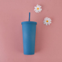 Customized Double-Layer Plastic Straw Cup in Stock Simple Large Capacity Water Tumbler Multi-Color Frosted Casual Cup for Coffee