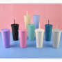 Customized Double-Layer Plastic Straw Cup in Stock Simple Large Capacity Water Tumbler Multi-Color Frosted Casual Cup for Coffee