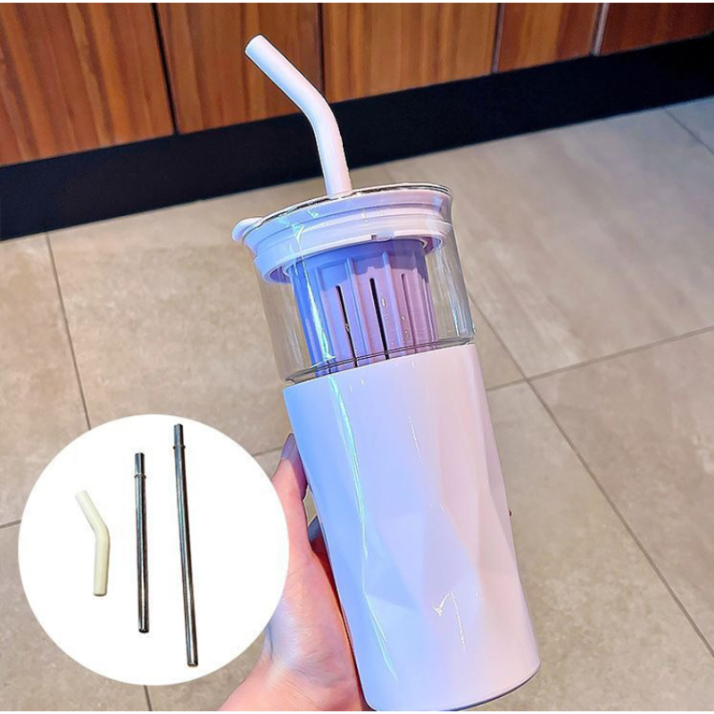 Eco-Friendly Summer Tumbler Cup 650ml Double Layer Glass 12oz Stainless Steel Water Bottle with Straw & Fruit Tea Infuser