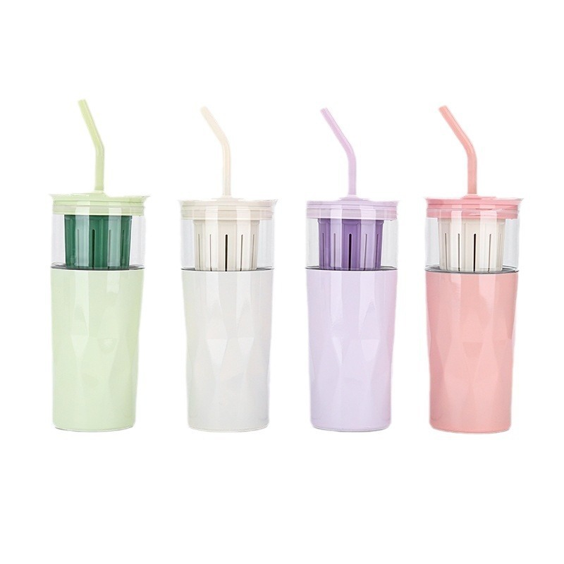 Eco-Friendly Summer Tumbler Cup 650ml Double Layer Glass 12oz Stainless Steel Water Bottle with Straw & Fruit Tea Infuser
