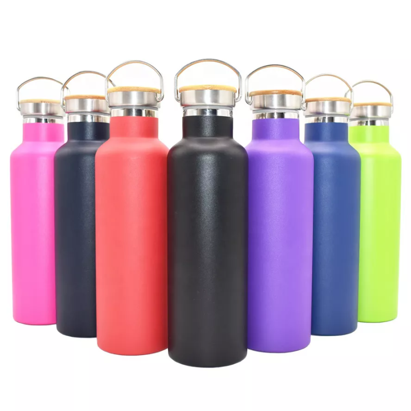 17oz Double Wall Stainless Steel Insulated Sports Water Bottle with Handle Vacuum Seal Leakproof Lid for Thermal Drink Use