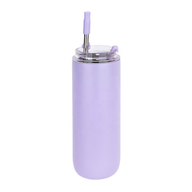 280ml & 480ml Portable Custom Double Wall Stainless Steel Vacuum Insulated Cute Tumbler with Lid and Straw Cold Cup