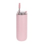 280ml & 480ml Portable Custom Double Wall Stainless Steel Vacuum Insulated Cute Tumbler with Lid and Straw Cold Cup