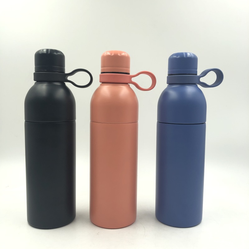 BPA Free Eco Friendly Removable Bottle Gym Sports Insulated Stainless Steel Water Bottle