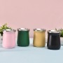 Double-Walled Stainless Steel Mate Gourd Cup with Bombilla Straw and Spoon Natural Mate Cup with Convenient Accessories