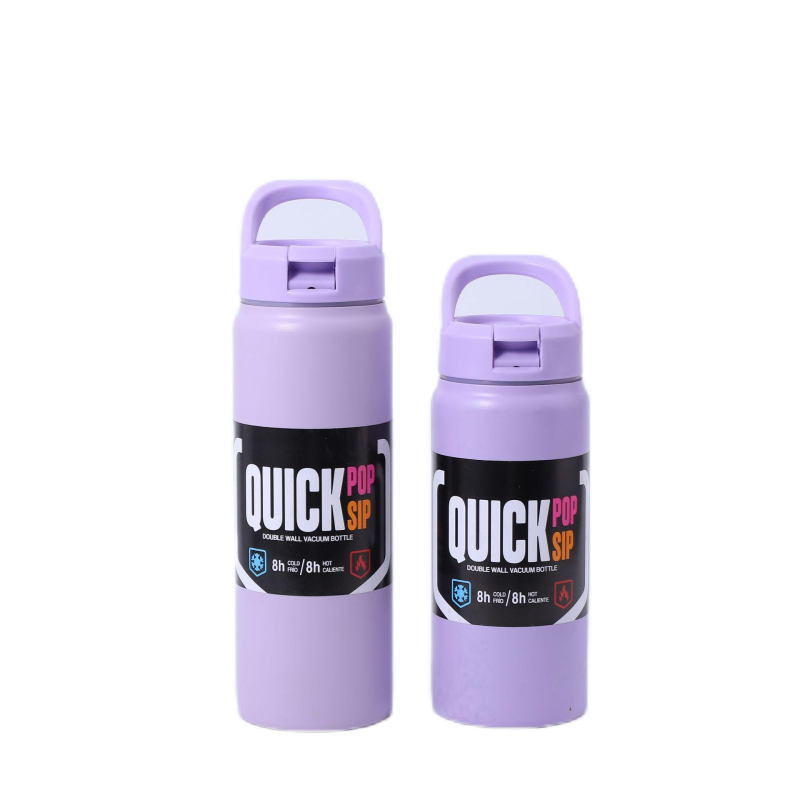 Customizable 18oz Double Wall Stainless Steel Insulated Water Bottle Flask with Handle Straw BPA-Free Modern Design for Camping