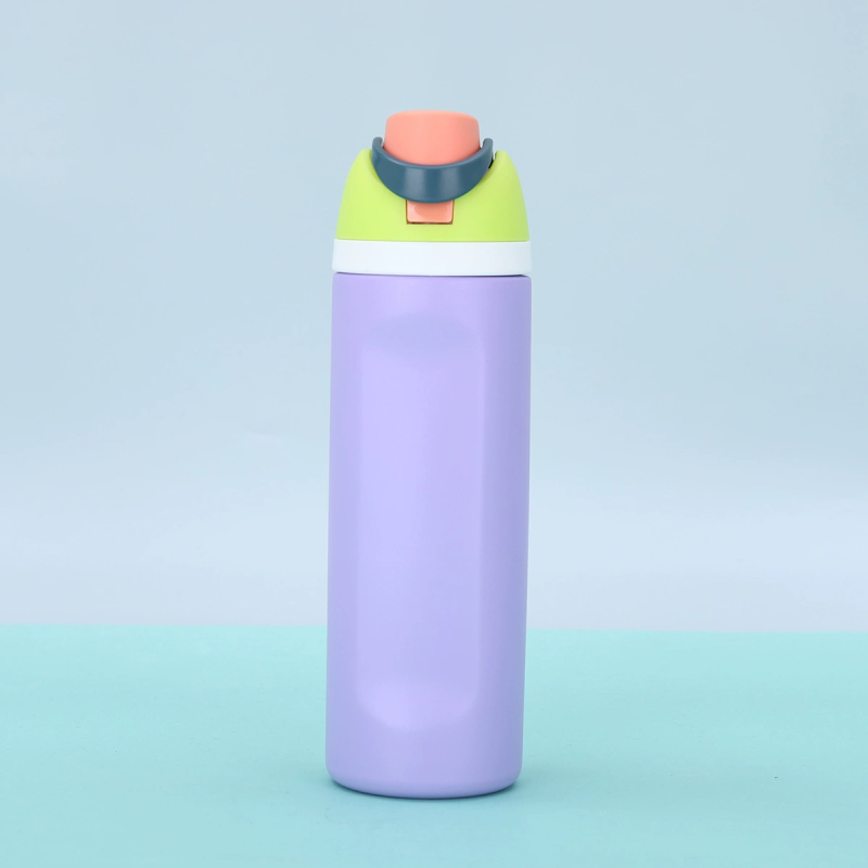 Travel Sport Insulated Stainless Steel Water Bottle with Straw Custom Logo BPA-Free 19oz Double Wall Vacuum Flask