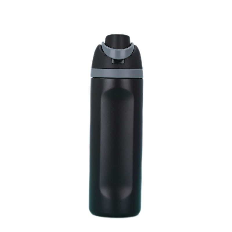 Travel Sport Insulated Stainless Steel Water Bottle with Straw Custom Logo BPA-Free 19oz Double Wall Vacuum Flask