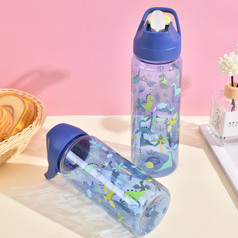 Wholesale 750ml Cute Cartoon Food Grade PC Water Bottles for Kids