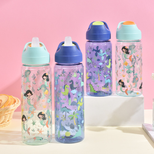 Wholesale 750ml Cute Cartoon Food Grade PC Water Bottles for Kids