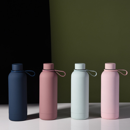 500ml Vacuum Insulated Stainless Steel Water Bottle with Silicone Rope