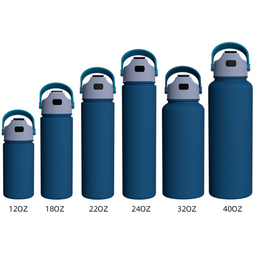 Insulated Stainless Steel Water Bottle 12-40oz with Handle