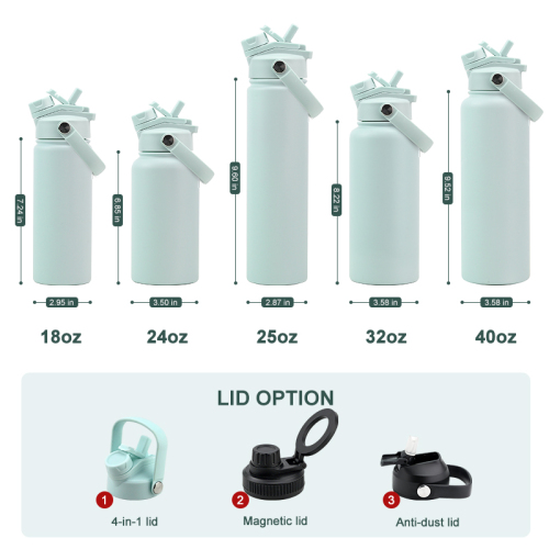 18oz Insulated Stainless Steel Water Bottle with 2-in-1 Lid