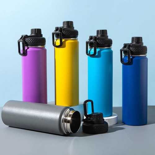 Sport 500ml Vacuum Insulated Water Bottle with Handle