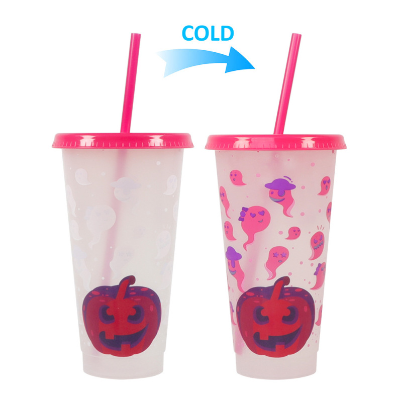 Custom 800ml Color Changing Plastic Tumbler Mug for Party