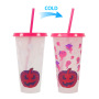Custom 800ml Color Changing Plastic Tumbler Mug for Party