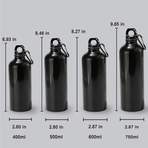 Custom Logo Insulated Sport Bottle 500/750ml with Carabiner